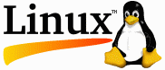 Linux Penguin